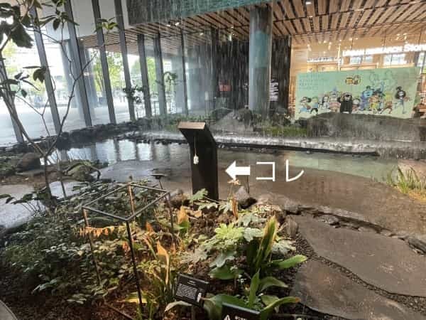 割と知られてない？？アミュプラザの滝の前で絶景写真が撮れるコト