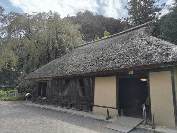 【行ったつもりシリーズ】埼玉県の飯能・日高エリアをサイクリング＜1＞500万本の曼珠沙華が咲く巾着田へ