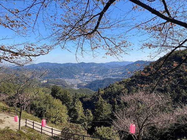 【群馬・藤岡】紅葉と桜を一度に楽しめる桜山公園とみかん狩りと藍染体験