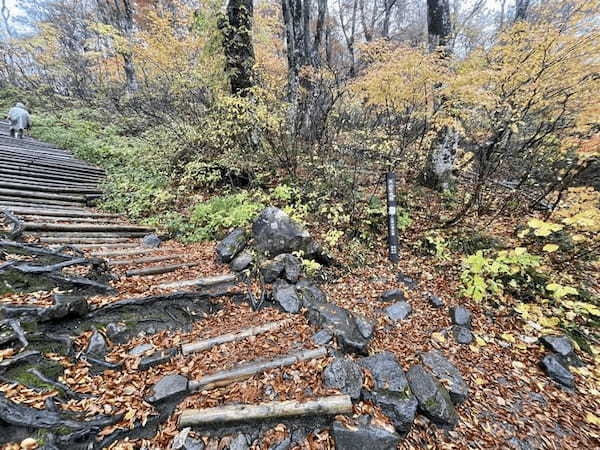 【日本百名山】2座目は雨の中をひたすら登った大山(鳥取県)