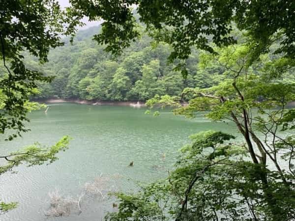 世界遺産・白神山地に存在する神秘的な湖「十二湖」に行ってきました♪