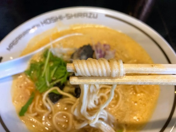 西宮北口駅すぐ昼限定マガリラーメン「星知ラズ 西宮北口店」で「鶏白湯soba」を食べてきた【にしつーグルメ】