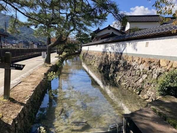 【兵庫県朝来市】シャッターを切る手が止まらない！ 時代に翻弄された天空の城「竹田城」の魅力とは？