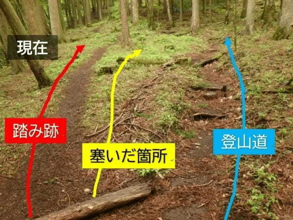登山者による「踏み跡」問題　神奈川県自然環境保全センターが警鐘