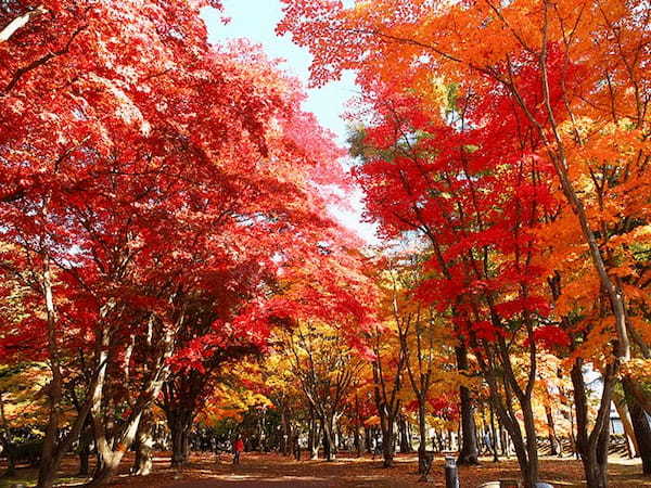 【北海道】 人気の街「函館」のおすすめ観光スポット！