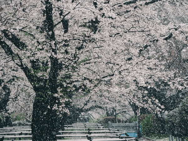 雨のバス釣りは本当に釣れる？釣り方のコツや季節ごとの雨の影響も解説！