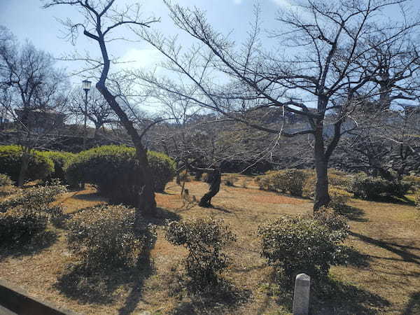 【チェアリング】子ども連れにもおすすめ！和歌山城の魅力をご紹介！