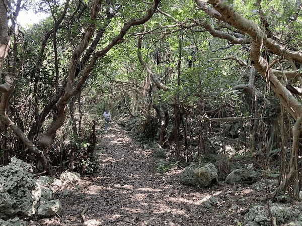 【奄美群島】日本で最も美しい村のひとつ「喜界島」の魅力とは?