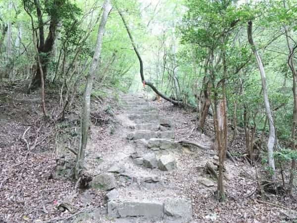 甲山「鷲林寺」のさらに奥、「観音山」の絶景を見にいってみた【にしつーアウトドア】