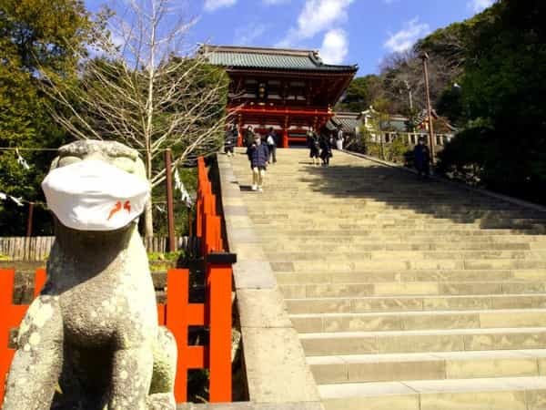 鎌倉の「鶴岡八幡宮」徹底ガイド！ 大河ドラマ館も含めた見どころ紹介