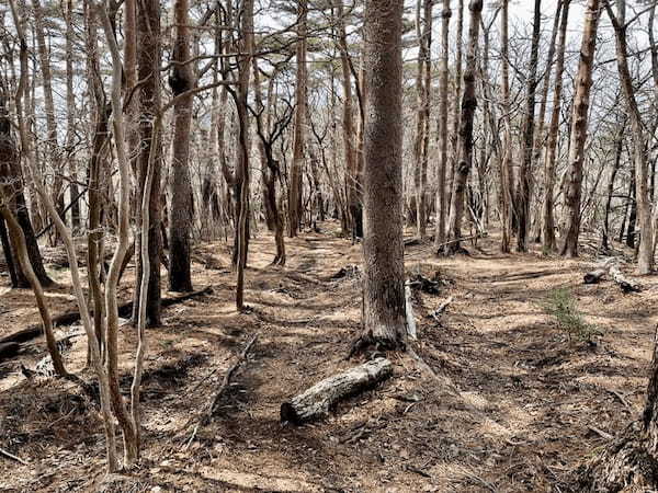 【日本百名山】4座目はダイナミックな霧島連山の主峰・韓国岳(宮崎県)