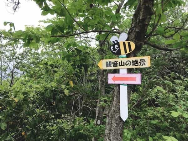 甲山「鷲林寺」のさらに奥、「観音山」の絶景を見にいってみた【にしつーアウトドア】