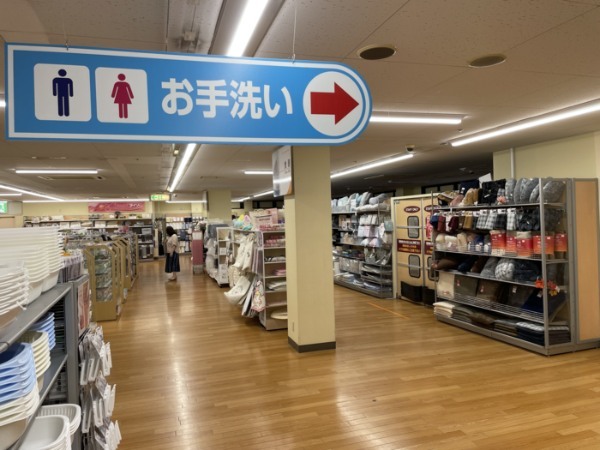 シュールな観点から伝える日本とアルジェリアのココが違う!