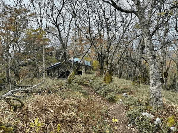 【日本百名山】23座目は天空の絶景ロードを見たくて剣山へ（徳島県）