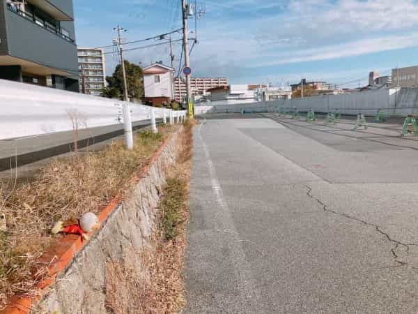 【続報】アンパンマンが草むらに落ちてる【持ち主見つかった】