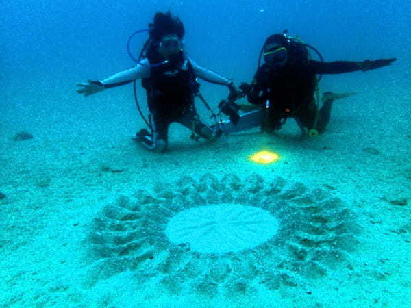 奄美大島（海中のミステリーサークル!?）