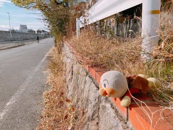 【続報】アンパンマンが草むらに落ちてる【持ち主見つかった】