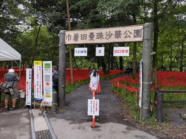 【行ったつもりシリーズ】埼玉県の飯能・日高エリアをサイクリング＜1＞500万本の曼珠沙華が咲く巾着田へ