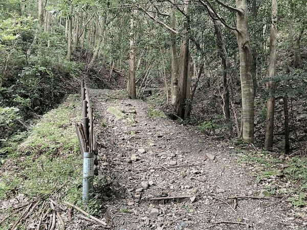 【対馬】世界の山々を登頂したクライマーも「この山は面白い！」といった白嶽（しらたけ）とはどんな山？