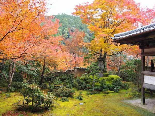 京都の紅葉といえば三尾三山！神護寺・西明寺・高山寺