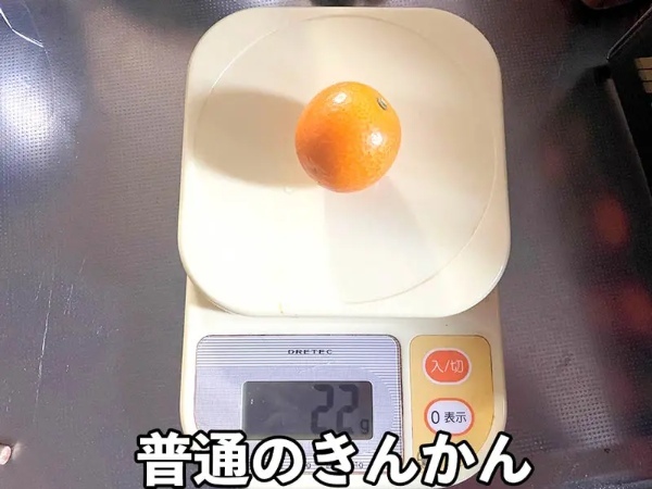 たまたまの最高峰「たまたまエクセレント」買ってみた 完熟きんかん上位約3%の高級品
