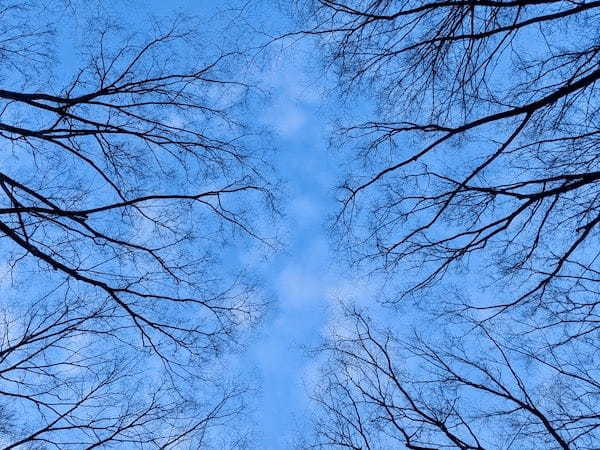 【雪国在住ライターが語る！】不便でも住み続けたくなる、雪国ならではの風情を伝えたい！