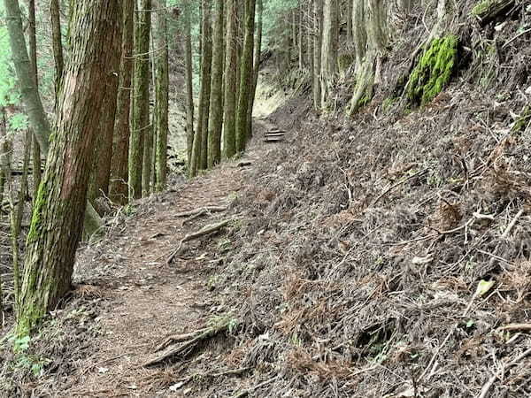 【日本百名山】27座目の祖母山は道迷いに注意が必要（大分県・宮崎県）