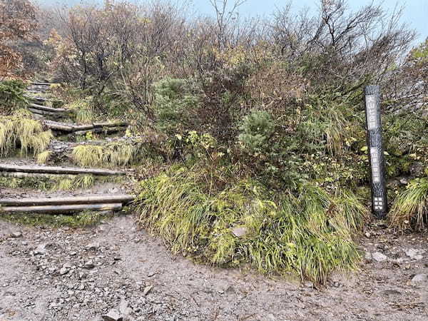 【日本百名山】2座目は雨の中をひたすら登った大山（鳥取県）