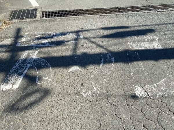 熊本で見つけた「なんだこれ？」珍百景