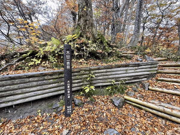【日本百名山】2座目は雨の中をひたすら登った大山(鳥取県)