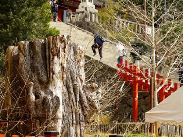 鎌倉の「鶴岡八幡宮」徹底ガイド！ 大河ドラマ館も含めた見どころ紹介