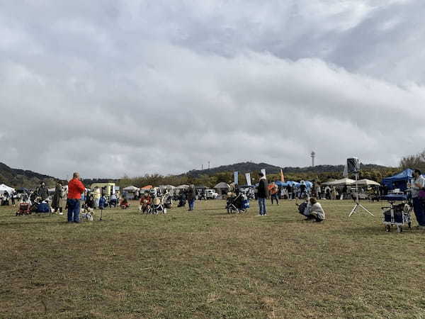 湘南国際村めぐりの森にて 保護犬のためのチャリティイベント開催！ DOGs CONFERENCEイベントレポート