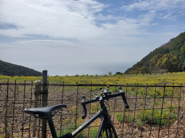 ロードバイク初心者でも淡路島一周「アワイチ」はできるのか？ライターが実際に走った体験をもとに解説！