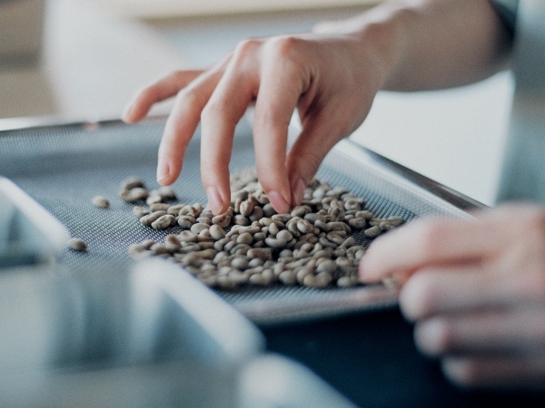 JINSは、創業の地で地域共生の更なる可能性を見つけます 「ONCA COFFEE & ROASTERY 前橋店」4/12(水)OPEN!