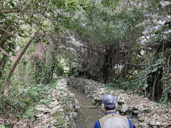 【奄美群島】日本で最も美しい村のひとつ「喜界島」の魅力とは?