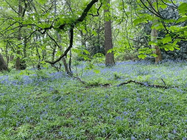 イギリスの季節の花々の織りなす絶景を楽しもう！