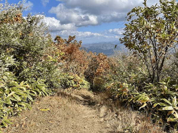 【島根】石見富士「三瓶山」のカルデラを大縦走！