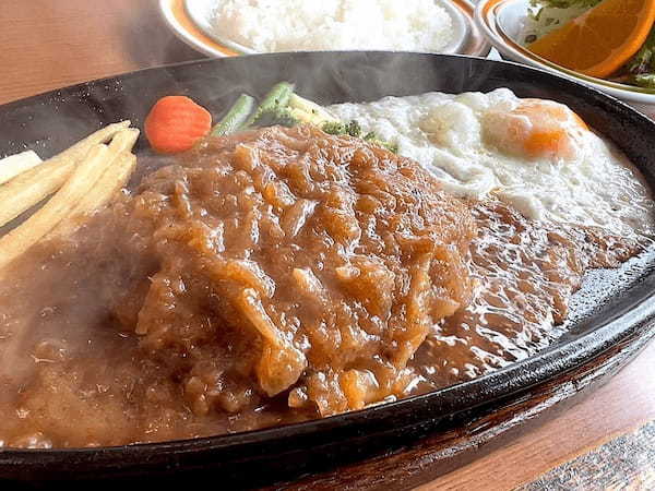 【ドライバーズグルメ“ドラグル”】佐賀県三養基郡の「ハンバーグランチ（ダブル）」