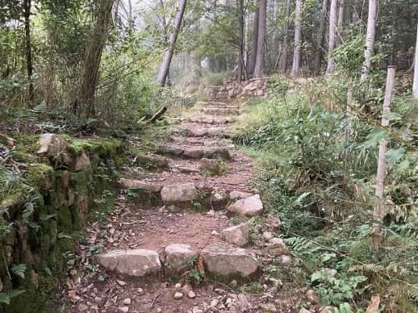 【兵庫県朝来市】シャッターを切る手が止まらない！ 時代に翻弄された天空の城「竹田城」の魅力とは？