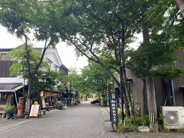 阿蘇神社門前町商店街にある水に浮かび上がる文字にざわ…ざわ…【御神水おみくじ】