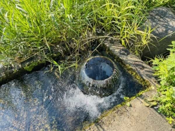 秋が燃える頃、透明な水の上で、鯰の話に恋をした　～菊池市旭志弁利　乙姫湧水～