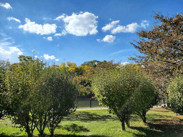 【チェアリング】関西のおすすめスポット大阪城公園の楽しみ方をご紹介！