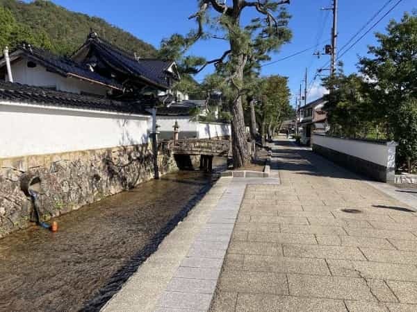 【兵庫県朝来市】シャッターを切る手が止まらない！ 時代に翻弄された天空の城「竹田城」の魅力とは？