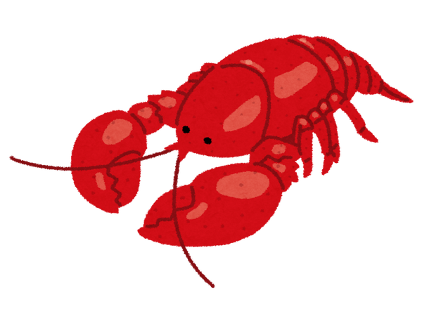 伊勢海老とロブスターはどちらも高級食材だけど・・違いは一目瞭然？！味の違いは？値段が高いのはどっち？