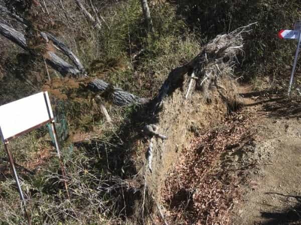 【冬の低山】秀麗富嶽十二景「九鬼山（970ｍ）」のおすすめポイント