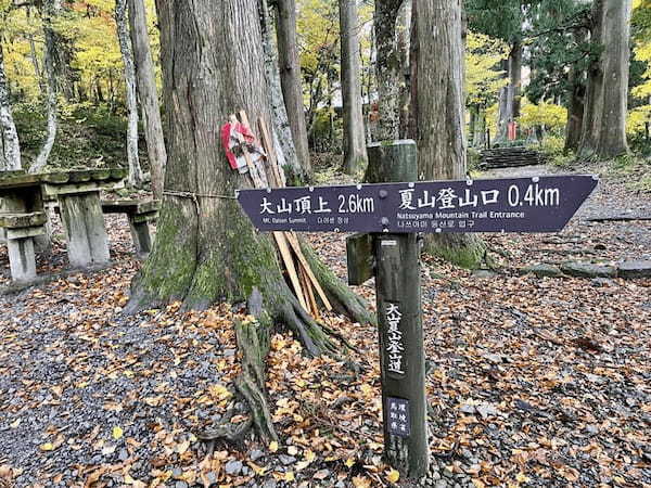 【日本百名山】2座目は雨の中をひたすら登った大山（鳥取県）