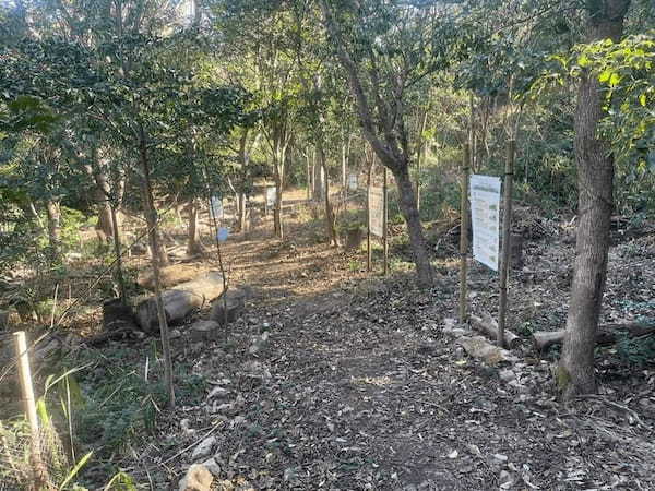 【兵庫】神戸の穴場！長田・湊川エリアの魅力スポットと名店を紹介します