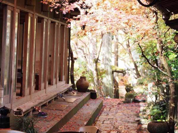 京都の紅葉といえば三尾三山！神護寺・西明寺・高山寺