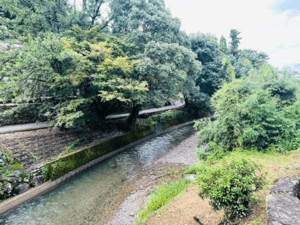 【人吉市】四季を楽しめる「鳳儀山 石水寺」。自然に山門に御朱印など魅力があり過ぎた。