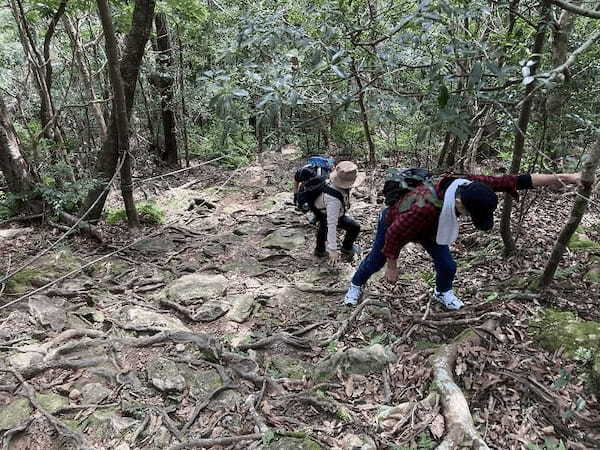 【対馬】世界の山々を登頂したクライマーも「この山は面白い！」といった白嶽（しらたけ）とはどんな山？